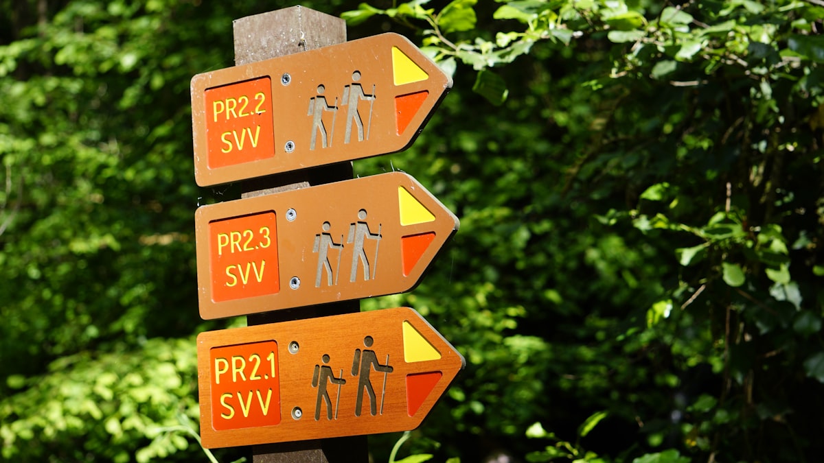 Wooden signpost with arrows pointing in different directions representing career choices